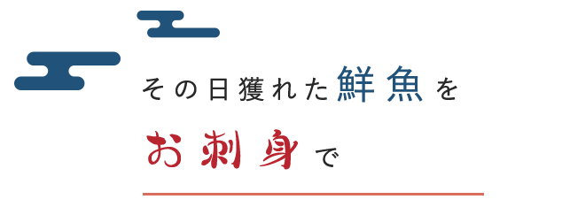 その日獲れた鮮魚を お刺身で