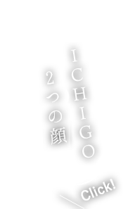 ICHIGO 3つの顔